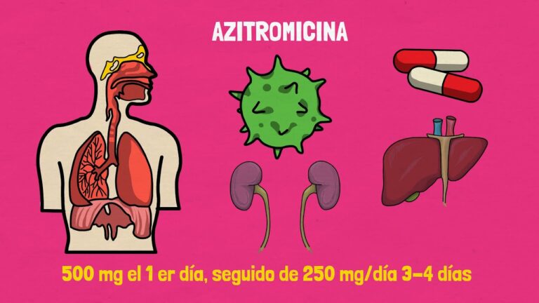 Funcionamiento de la azitromicina en el organismo