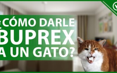 Farmacia Ortopedia Cepeda