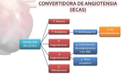 Farmacia Ortopedia Cepeda