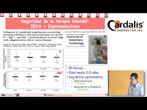 Seguridad de la espironolactona en insuficiencia card&iacute;aca