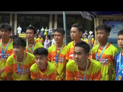 Mecanismos de biotransformaci&oacute;n en la naturaleza: una visi&oacute;n general