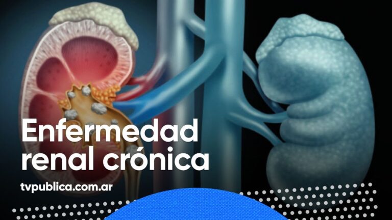 Farmacoterapia para Tratar Problemas Linf&aacute;ticos