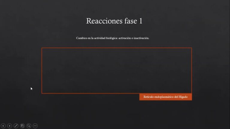Optimización del Proceso de Biotransformación en Fármacos