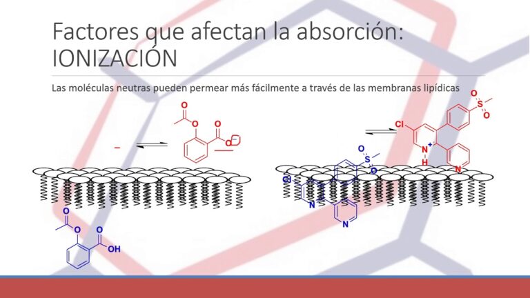 Factores que afectan la absorción de fármacos