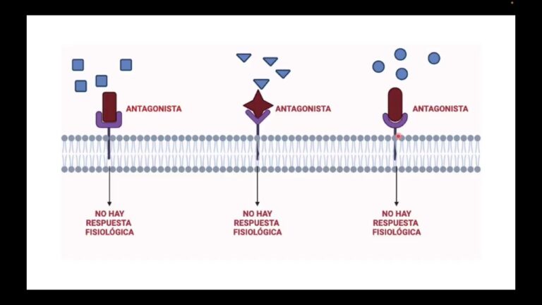 Farmacodin&aacute;mica: Influencia en la Respuesta Fisiol&oacute;gica