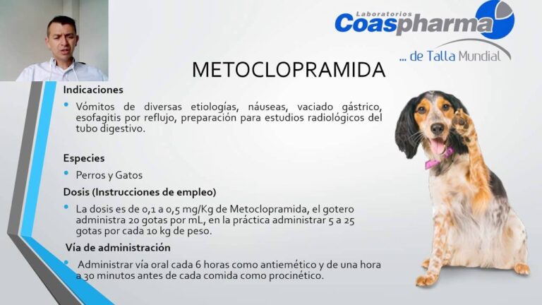 Mecanismo de Acci&oacute;n de la Metoclopramida: Un Estudio Exhaustivo