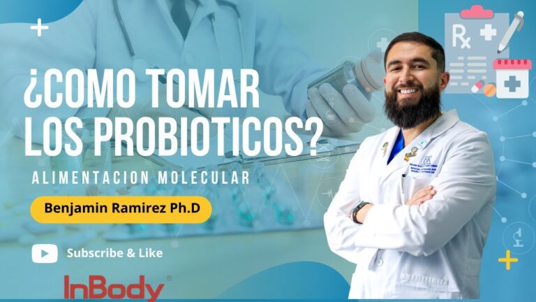 Maximizando la Absorción de Nutrientes en el Intestino