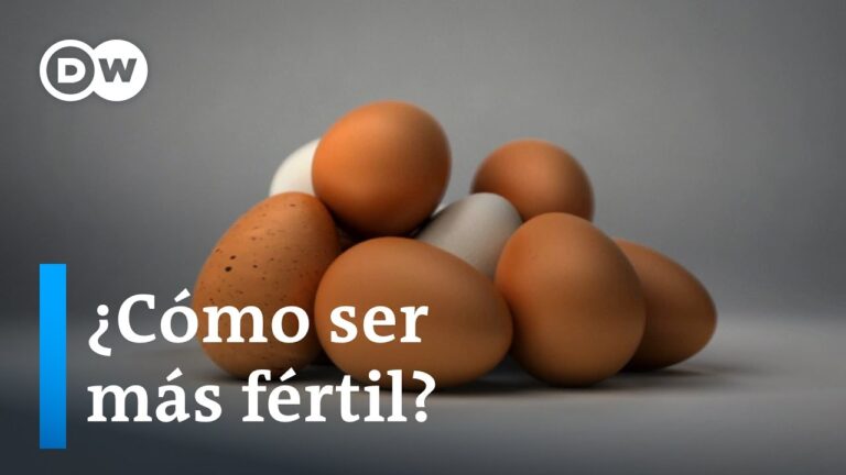 Tratamientos Efectivos para Problemas de Fertilidad