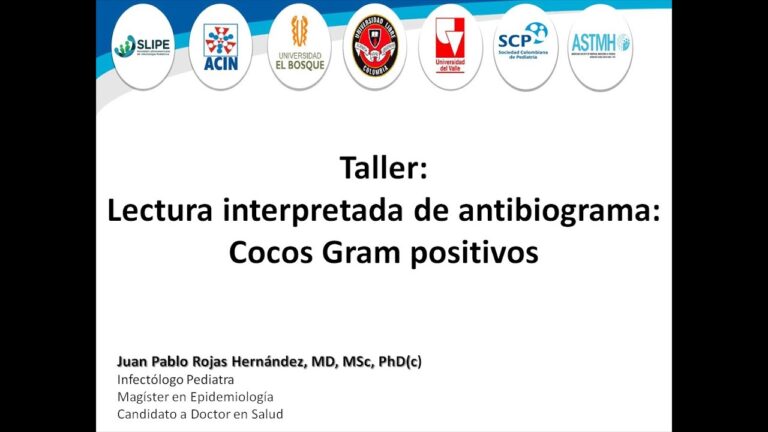 Clindamicina: Eficacia contra Bacterias Grampositivas