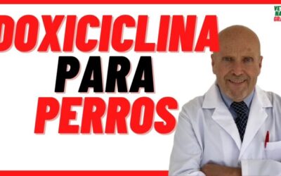 Farmacia Ortopedia Cepeda