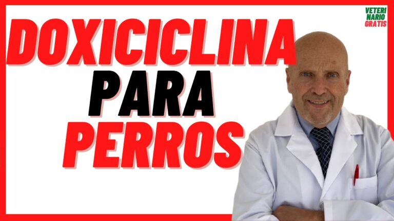 Eficacia del Levofloxacino en Infecciones Articulares
