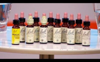 Farmacia Ortopedia Cepeda