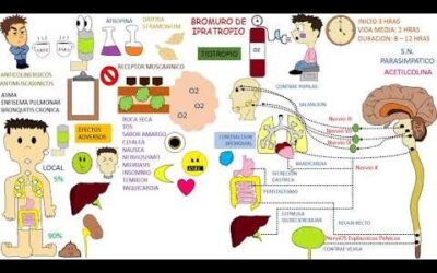 Farmacia Ortopedia Cepeda