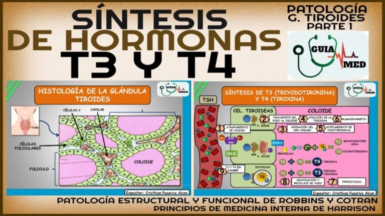 Optimización de la Regulación Tiroidea con Levotiroxina Sódica