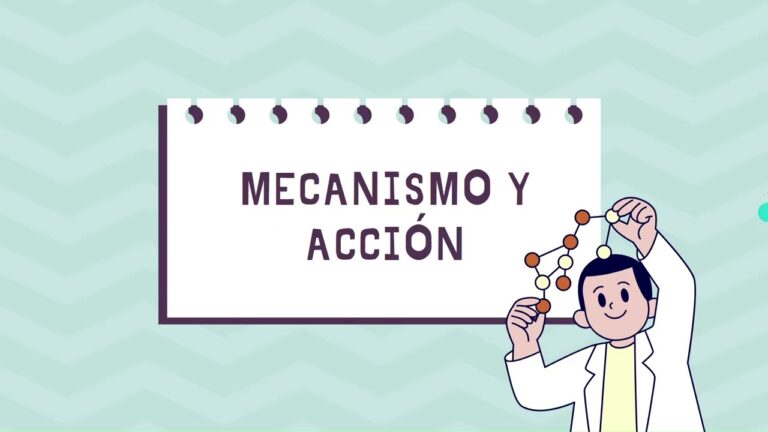Mirtazapina: Mecanismo de Acción en el Cerebro