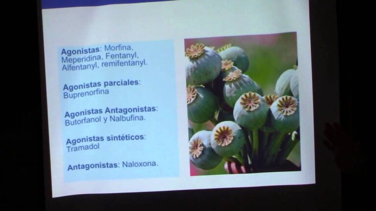 Monitorizaci&oacute;n Cl&iacute;nica y Uso de Buprenorfina en Tratamientos M&eacute;dicos