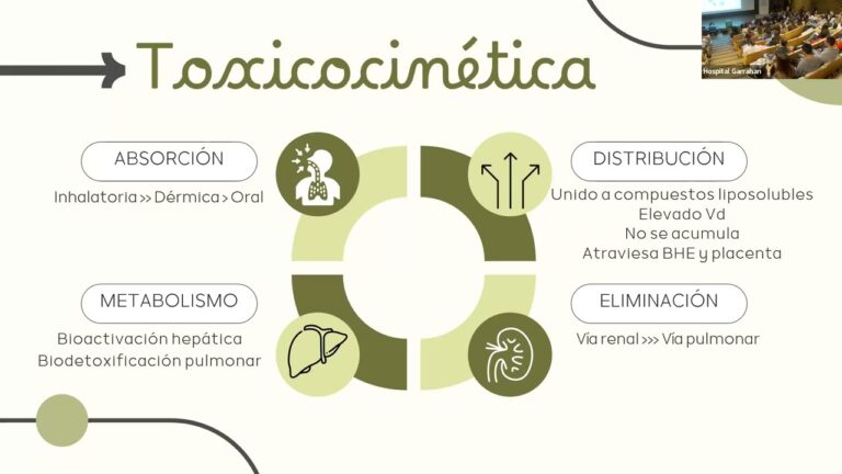 Optimizaci&oacute;n de la Evaluaci&oacute;n de la Toxicocin&eacute;tica en la Absorci&oacute;n de Compuestos