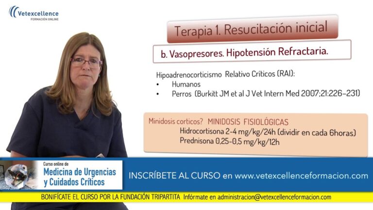 Optimizaci&oacute;n en la Administraci&oacute;n de Prednisona y Monitorizaci&oacute;n M&eacute;dica