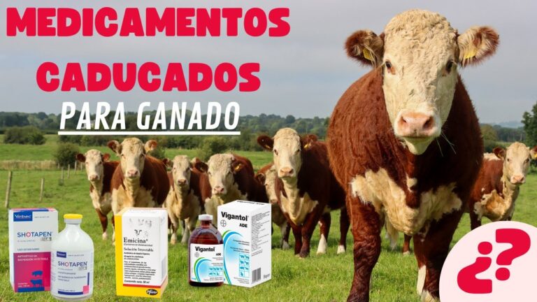 Prevención de Problemas por el Consumo de Medicamentos Caducados