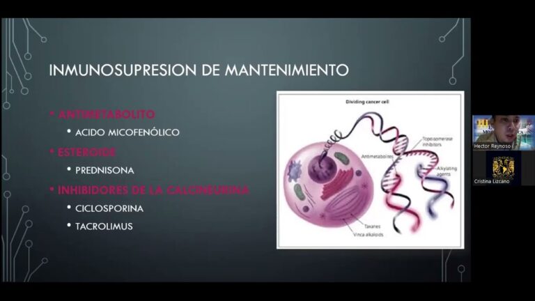 Contraindicaciones de la Prednisona en Pacientes Inmunosuprimidos