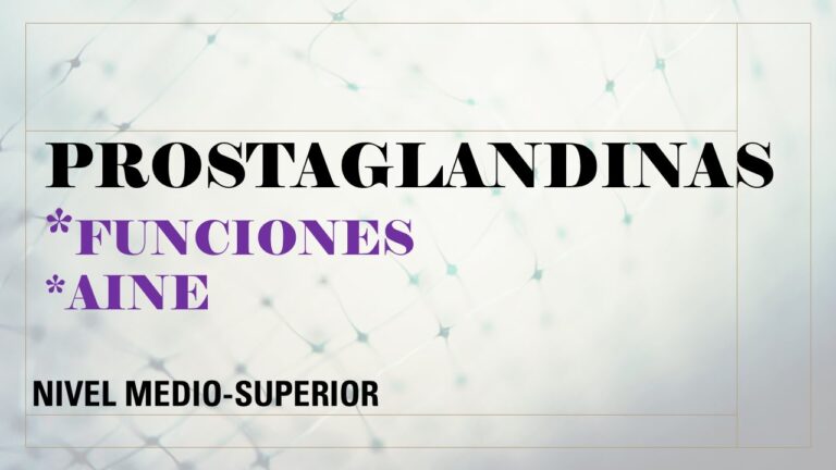Montelukast: Inhibidor de Leucotrienos Efectivo