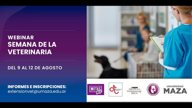 Farmacia: Clave en el Manejo de la Diabetes