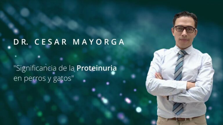 Prevenci&oacute;n de Enfermedades Renales con Enalapril