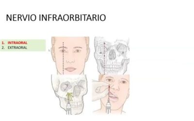 Farmacia Ortopedia Cepeda